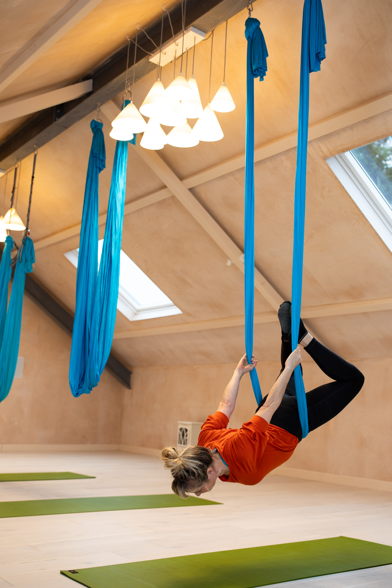 Gina aerial silks studio