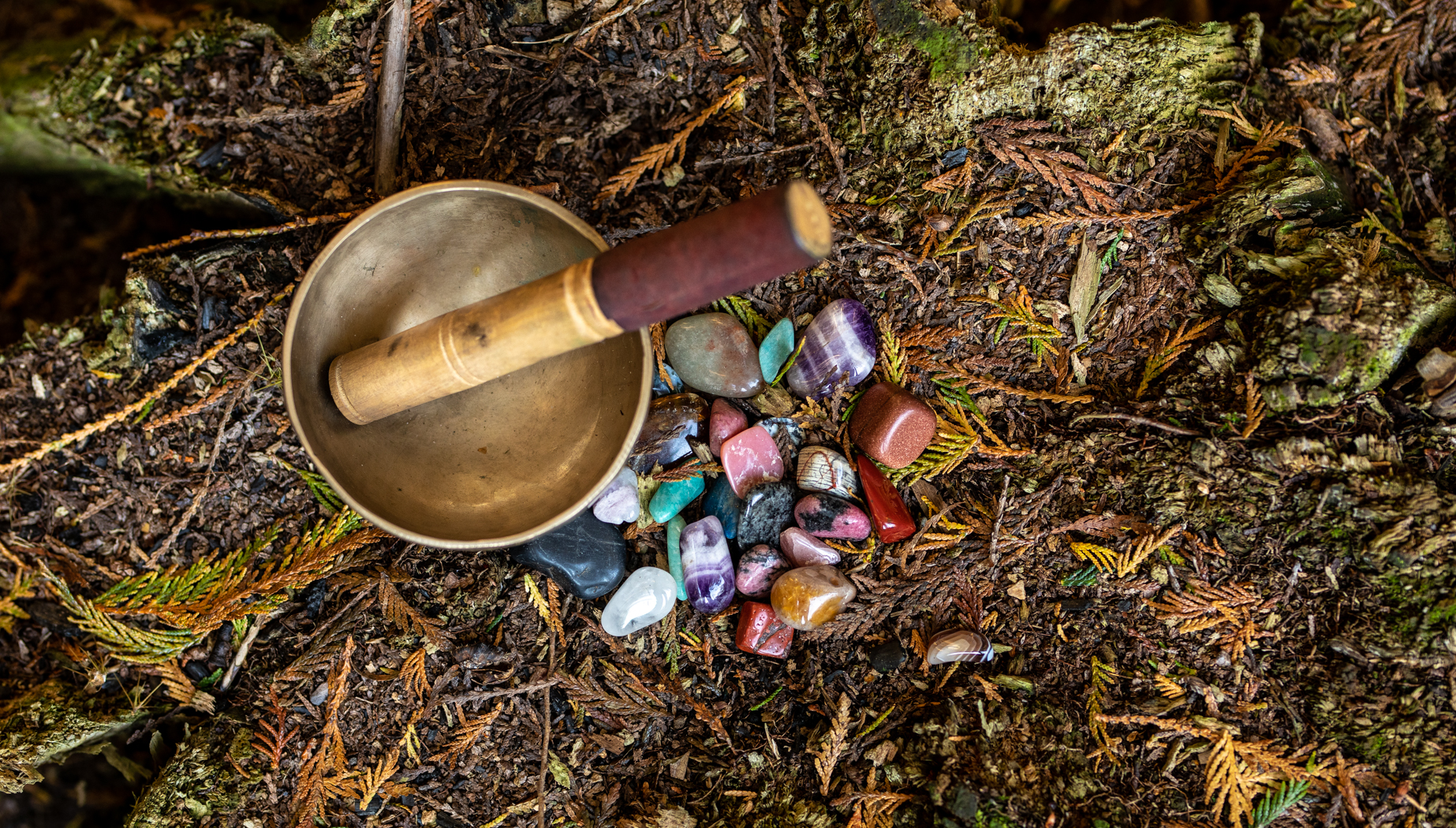 Gong and stones in woodland