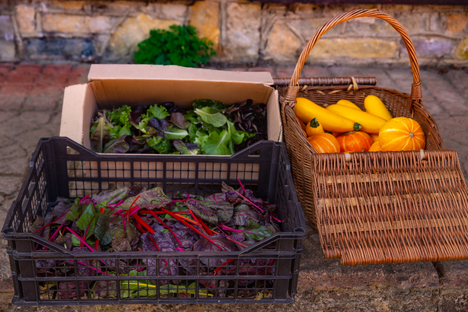 Fresh produce