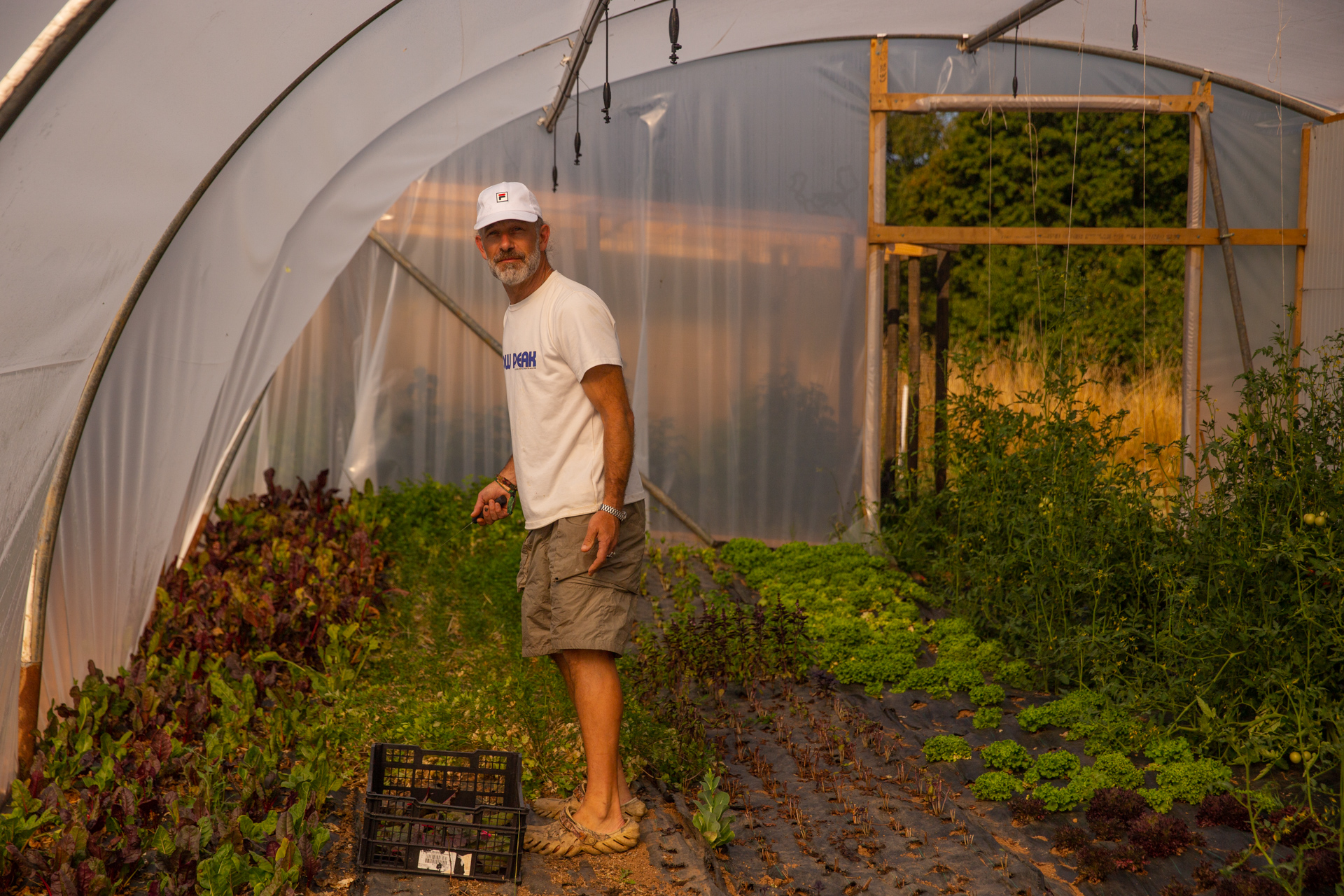 Ben in the kitchen garden
