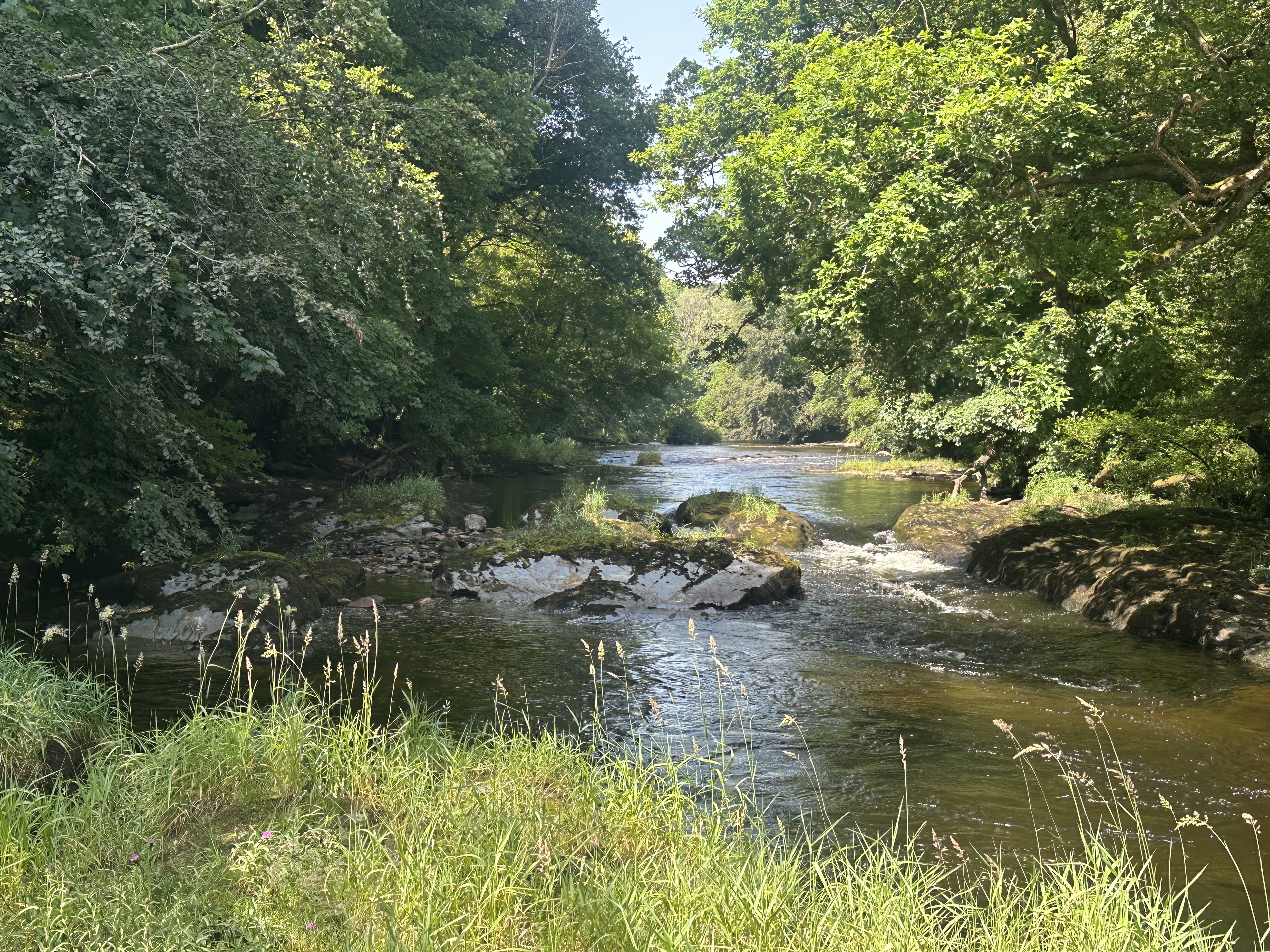 River Dart